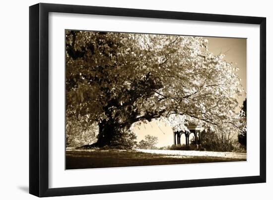 Gazebo-Alan Hausenflock-Framed Photographic Print