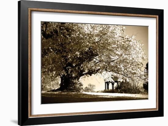 Gazebo-Alan Hausenflock-Framed Photographic Print