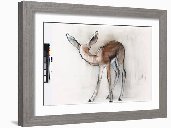 Gazelle Fawn (Arabian Gazelle) 2010-Mark Adlington-Framed Giclee Print