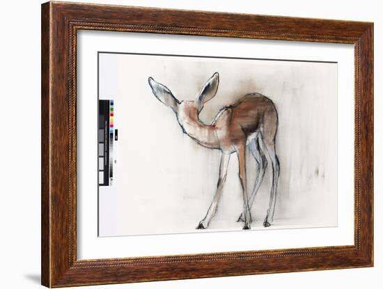 Gazelle Fawn (Arabian Gazelle) 2010-Mark Adlington-Framed Giclee Print