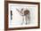 Gazelle Fawn (Arabian Gazelle) 2010-Mark Adlington-Framed Giclee Print