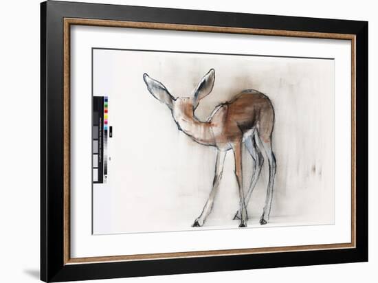 Gazelle Fawn (Arabian Gazelle) 2010-Mark Adlington-Framed Giclee Print