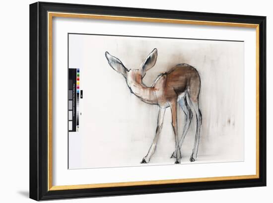 Gazelle Fawn (Arabian Gazelle) 2010-Mark Adlington-Framed Giclee Print