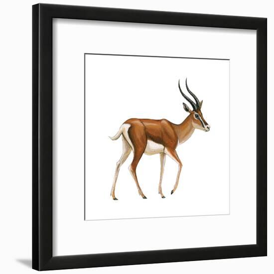 Gazelle (Gazella Granti), Mammals-Encyclopaedia Britannica-Framed Art Print