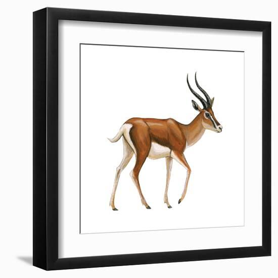 Gazelle (Gazella Granti), Mammals-Encyclopaedia Britannica-Framed Art Print