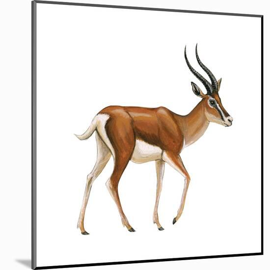 Gazelle (Gazella Granti), Mammals-Encyclopaedia Britannica-Mounted Art Print