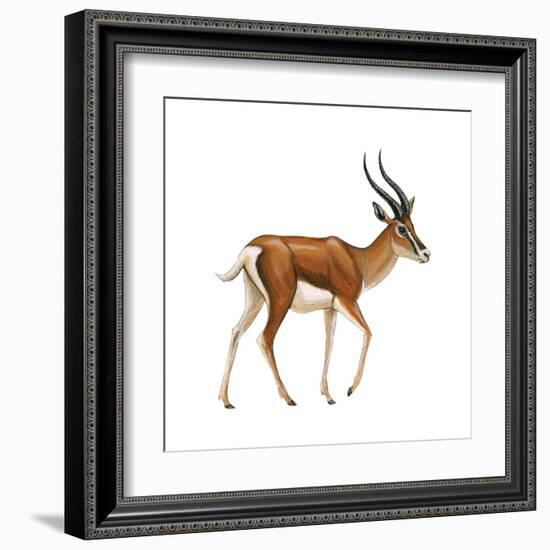 Gazelle (Gazella Granti), Mammals-Encyclopaedia Britannica-Framed Art Print