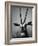 Gazelle-Henry Horenstein-Framed Photographic Print