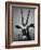 Gazelle-Henry Horenstein-Framed Photographic Print