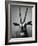 Gazelle-Henry Horenstein-Framed Photographic Print