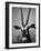 Gazelle-Henry Horenstein-Framed Photographic Print