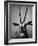 Gazelle-Henry Horenstein-Framed Photographic Print