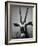 Gazelle-Henry Horenstein-Framed Photographic Print