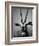 Gazelle-Henry Horenstein-Framed Photographic Print