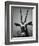 Gazelle-Henry Horenstein-Framed Photographic Print