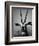 Gazelle-Henry Horenstein-Framed Photographic Print