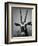 Gazelle-Henry Horenstein-Framed Photographic Print