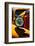 Ge-Ursula Abresch-Framed Photographic Print