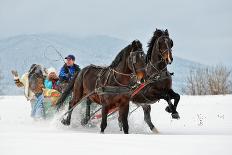 People with Horse Sledge Outdoor-geanina bechea-Framed Photographic Print