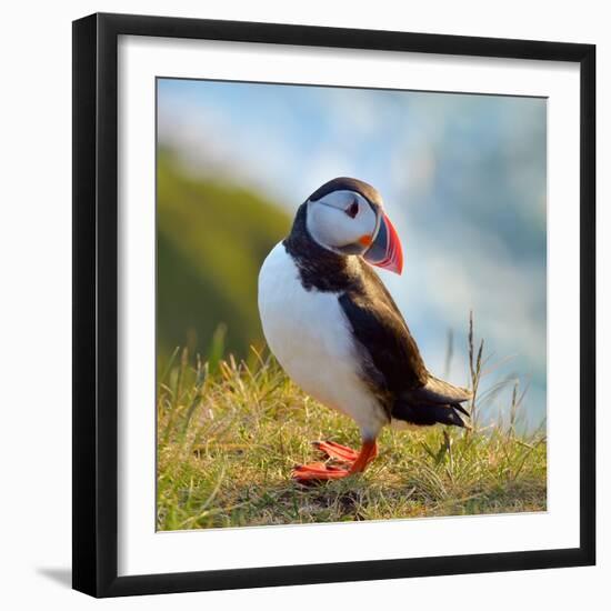 Photographic Print, , large