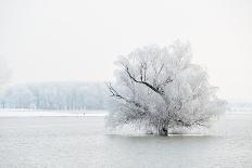 Winter Landscape-geanina bechea-Framed Premier Image Canvas
