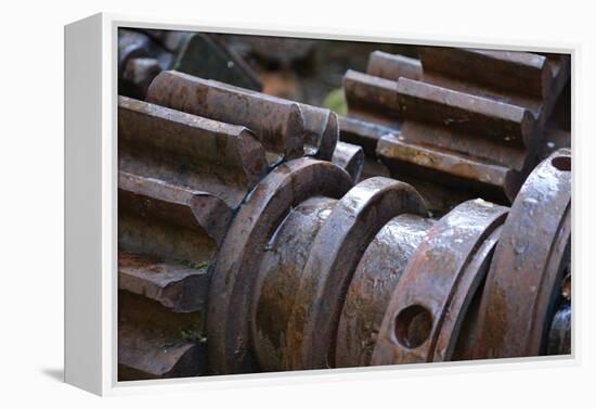 Gears I-Brian Moore-Framed Premier Image Canvas