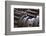 Gears I-Brian Moore-Framed Photographic Print