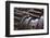 Gears I-Brian Moore-Framed Photographic Print