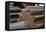 Gears II-Brian Moore-Framed Premier Image Canvas