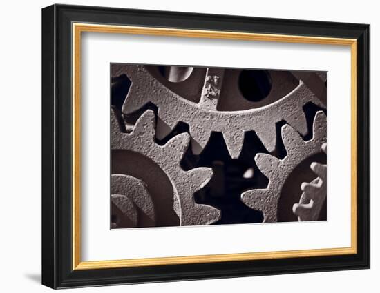 Gears Number 2-Steve Gadomski-Framed Photographic Print