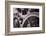 Gears Number 3-Steve Gadomski-Framed Photographic Print