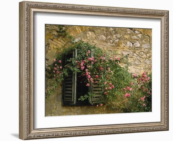 Gebv¤Ude, Fassade, Fenster, Alt, Rosenstrauch, Haus, Hausmauer-Thonig-Framed Photographic Print