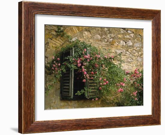 Gebv¤Ude, Fassade, Fenster, Alt, Rosenstrauch, Haus, Hausmauer-Thonig-Framed Photographic Print