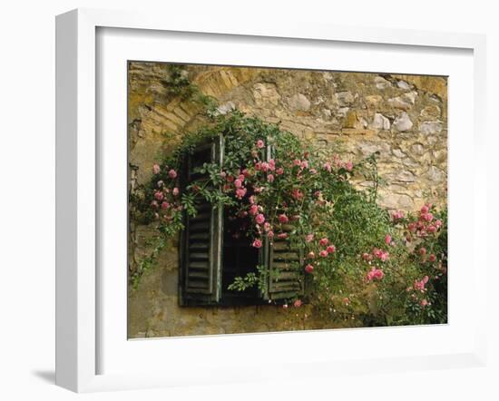 Gebv¤Ude, Fassade, Fenster, Alt, Rosenstrauch, Haus, Hausmauer-Thonig-Framed Photographic Print