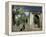 Gedi Ruins, Malindi, Kenya, East Africa, Africa-Upperhall-Framed Premier Image Canvas