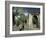 Gedi Ruins, Malindi, Kenya, East Africa, Africa-Upperhall-Framed Photographic Print