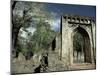 Gedi Ruins, Malindi, Kenya, East Africa, Africa-Upperhall-Mounted Photographic Print