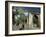 Gedi Ruins, Malindi, Kenya, East Africa, Africa-Upperhall-Framed Photographic Print