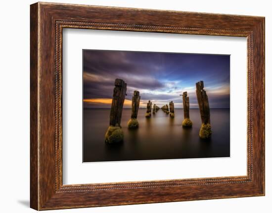 geelong-1-Lincoln Harrison-Framed Photo