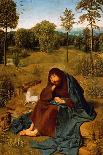 John the Baptist in the Wilderness, 1490-1495-Geertgen Tot Sint Jans-Giclee Print