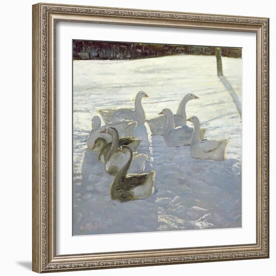 Geese Against the Light-Timothy Easton-Framed Giclee Print