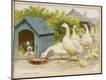 Premium Giclee Print