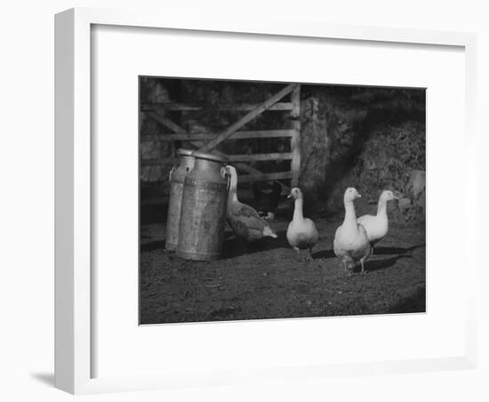 Geese and Milk Churns-null-Framed Photographic Print