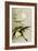 Geese and the Moon-Koson Ohara-Framed Giclee Print