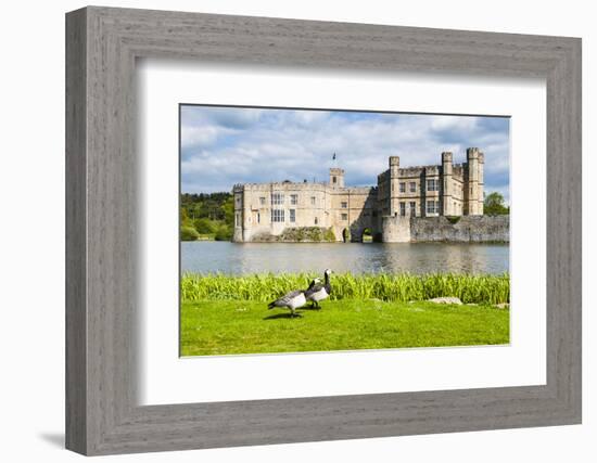 Geese at Leeds Castle, Maidstone, Kent, England, United Kingdom, Europe-Matthew Williams-Ellis-Framed Photographic Print