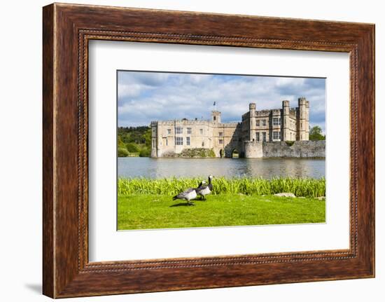 Geese at Leeds Castle, Maidstone, Kent, England, United Kingdom, Europe-Matthew Williams-Ellis-Framed Photographic Print