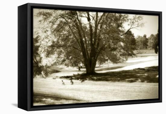 Geese at the Pond I-Alan Hausenflock-Framed Premier Image Canvas