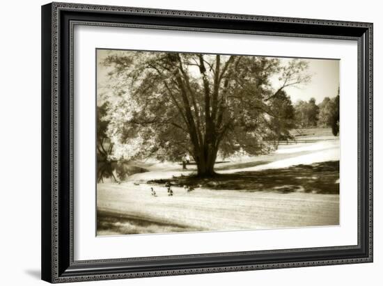 Geese at the Pond I-Alan Hausenflock-Framed Photographic Print