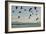 Geese Fly Over Ostriches On Amboseli Lake-Charles Bowman-Framed Photographic Print