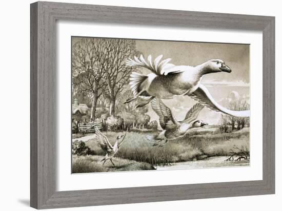 Geese Flying-Ronald Lampitt-Framed Giclee Print